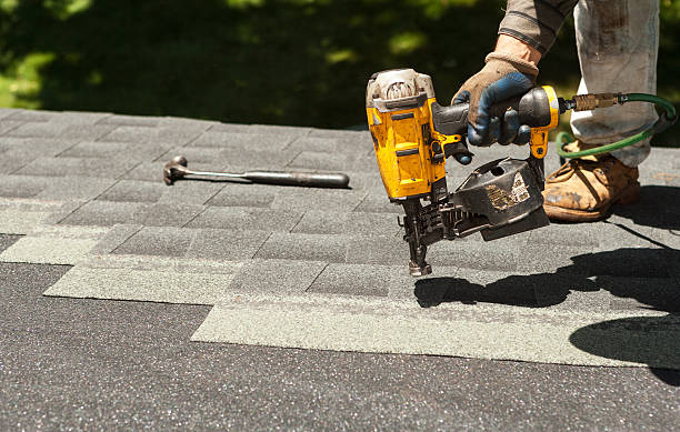 Best Roof Ventilation Installation  in Trenton, TN
