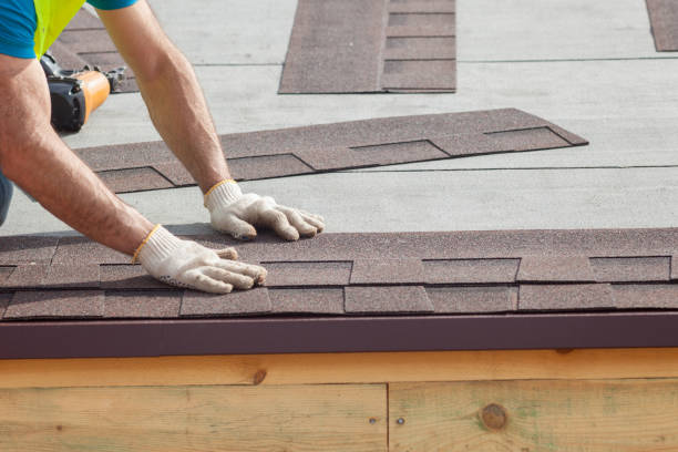 Reliable Trenton, TN Roofing services Solutions